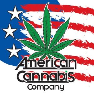 Comment acheter du stock de cannabis américain (AMMJ). Pas à pas