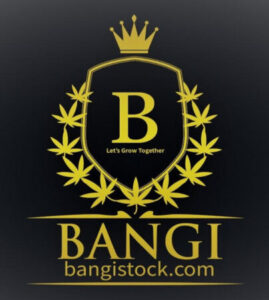 Vous souhaitez acheter des actions Bangi (BNGI), Apprenez pas à pas