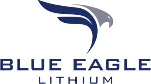 Comment acheter des actions de Blue Eagle Lithium (BEAG), Apprenez étape par étape