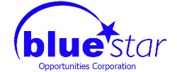 Comment acheter des actions de Blue Star Opportunities (BSTO), j'explique comment