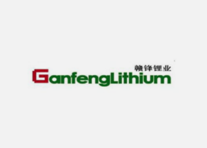 Vous souhaitez acheter des actions de Ganfeng Lithium (002460.SZ). Expliqué