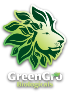 Comment acheter des actions GreenGro (GRNH) | Guider