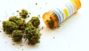 Vous souhaitez acheter des actions de marijuana médicale (MJNA). Expliqué