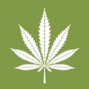 Comment acheter du stock de cannabis nord-américain (USMJ) | Didacticiel