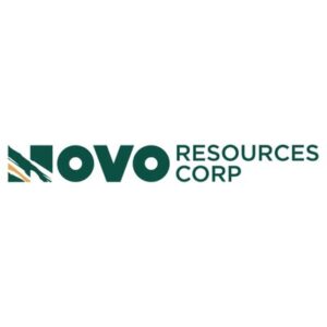 Vous souhaitez acheter des actions de Novo Resources (NSRPF) - je vous explique comment
