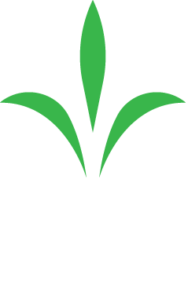 Comment acheter des actions Perk International (PRKI). Tutoriel en français