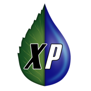 Comment acheter des actions XcelPlus International (XLPI) | Tutoriel expliqué